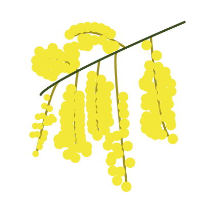aroma icon