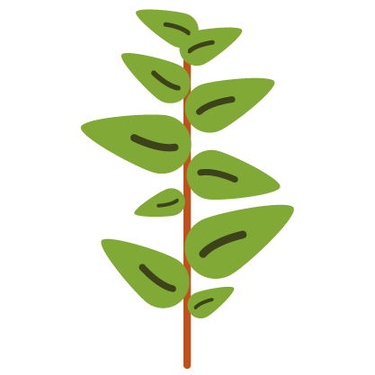 aroma icon