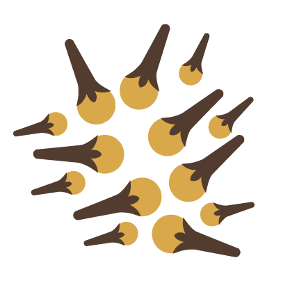 aroma icon