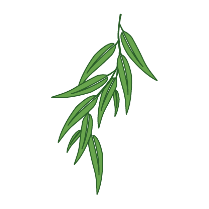 aroma icon