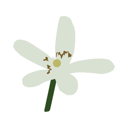 aroma icon