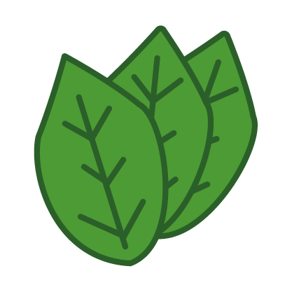 aroma icon