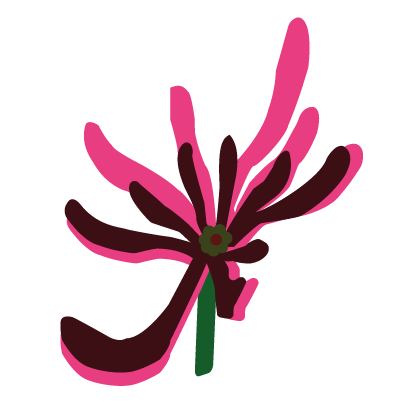 aroma icon