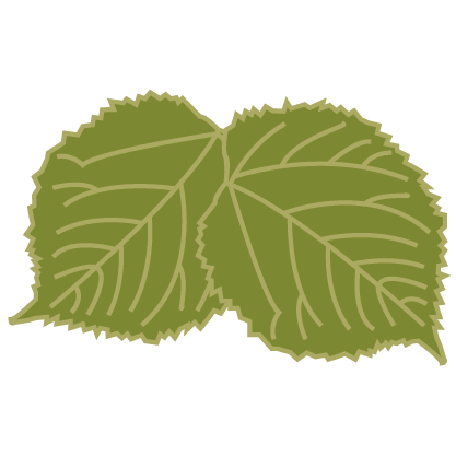 aroma icon