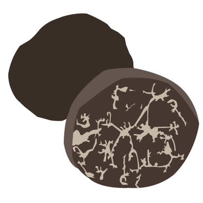 aroma icon